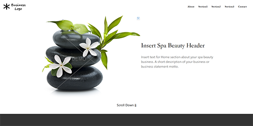 Spa Beauty Demo Website