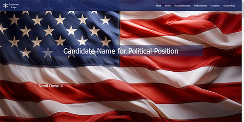 Political Demo Website