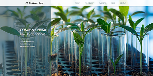 Animation Zoom Effects Image