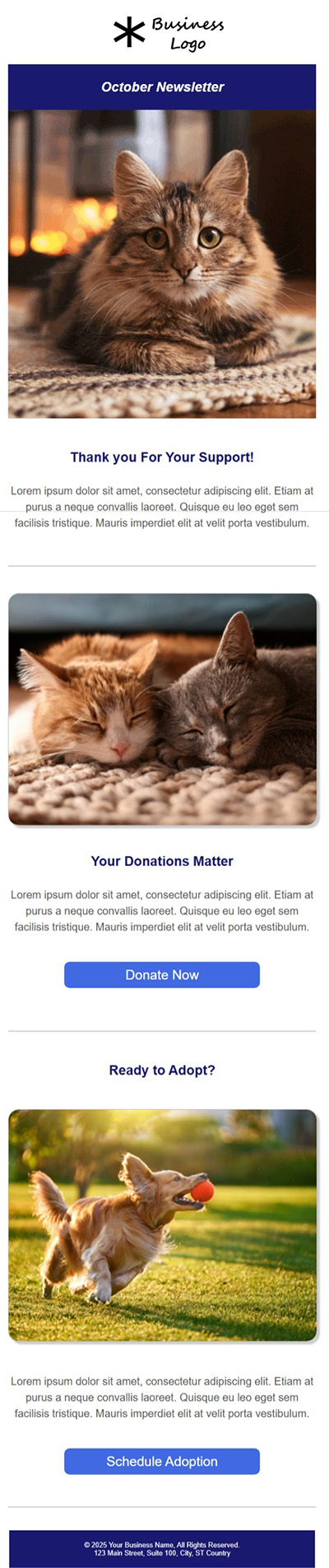 Email Template 3 Image